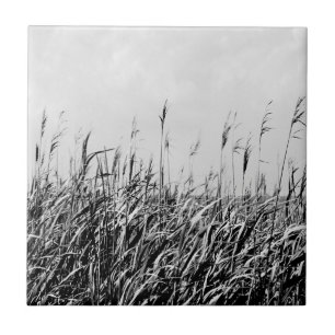 Dune Triptych III Tegeltje