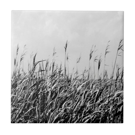 Dune Triptych III Tegeltje (Voorkant)