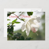 Dunedin, Florida Briefkaart (Voorkant / Achterkant)