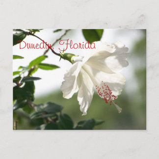 Dunedin, Florida Briefkaart