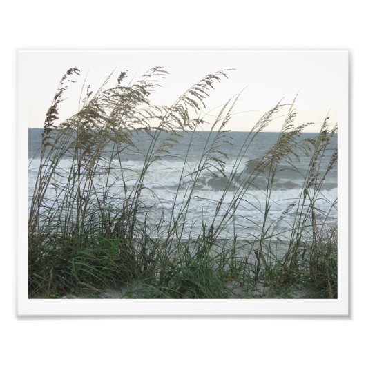 Dunegrass Foto Afdruk (Voorkant)