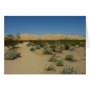 Dunes de Kelso au Mojave National Park