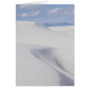 Dunes de sable de désert