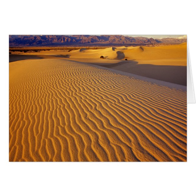 Dunes de sable de Mesquite Flat à Death Valley (Devant horizontal)
