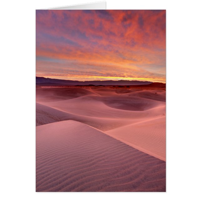 Dunes de sable rose, Death Valley, CA (Devant)