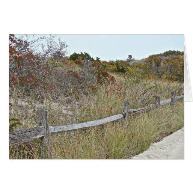 Dunes et Fence Island Beach State Park (Devant horizontal)
