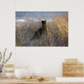 Dunes Kat Poster (Keuken)