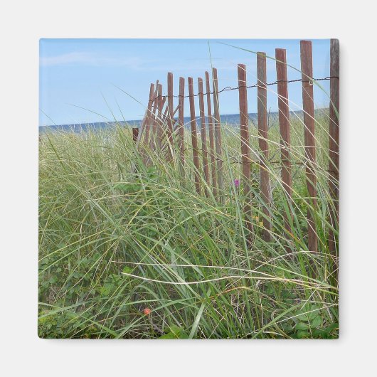 Dunes of Cape Cod Magneet (Voorkant)