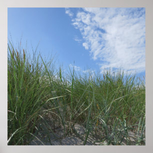 dunes, poster de sable