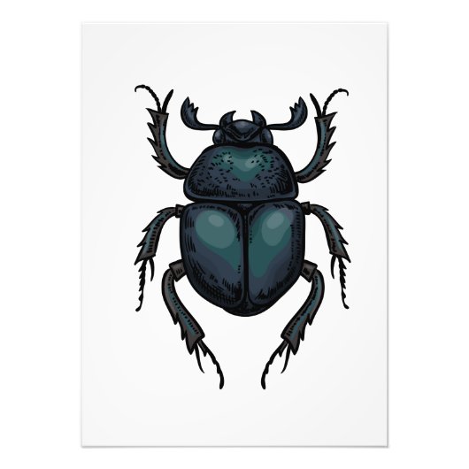 Dung beetle foto afdruk (Voorkant)