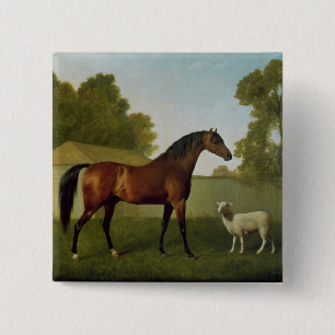 Dungannon, eigendom van kolonel O'Kelly Vierkante Button 5,1 Cm