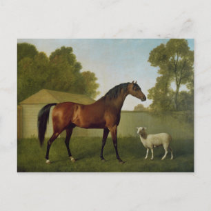 Dungannon, het bezit van Kolonel O'Kelly Briefkaart