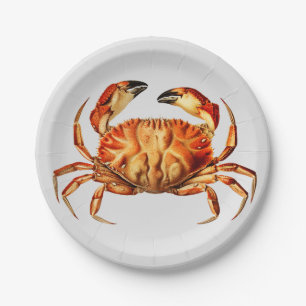  Dungeness Crab Illustratie Papieren Bordje