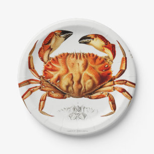  Dungeness Crab Illustratie Papieren Bordje