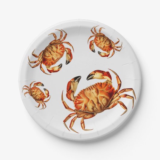  Dungeness Crab Illustratie     Papieren Bordje (Voorkant)