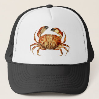 Dungeness Crab Illustratie Trucker Pet