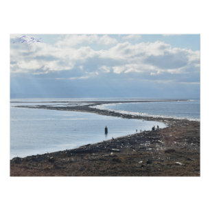 Dungeness Spit van de vuurtoren Perfect Poster