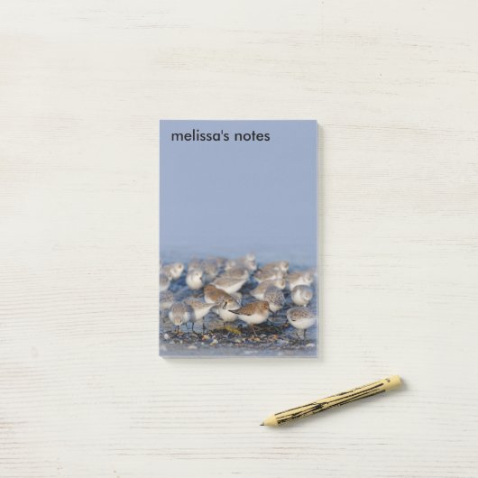 Dunlins Sanderlings Sandpipers bij Beach Post-it® Notes (Op bureau)
