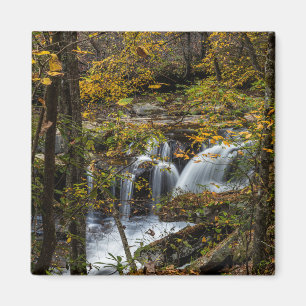 Dunloup Creek Falls   West Virginia Magneet