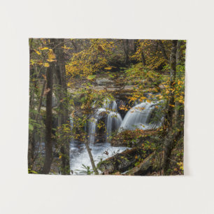 Dunloup Creek Falls   West Virginia Wandkleed