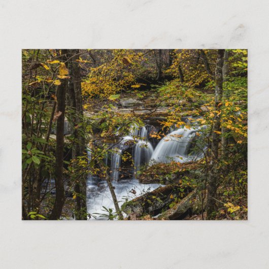 Dunloup Creek Herfsten | West Virginia Briefkaart (Voorkant)