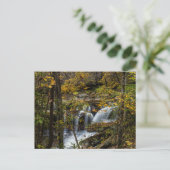 Dunloup Creek Herfsten | West Virginia Briefkaart (Staand voorkant)