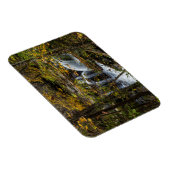 Dunloup Creek Herfsten | West Virginia Magneet (Rechterzijde)