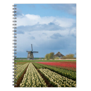 Dunne molen en tulips landschapsnotebook notitieboek