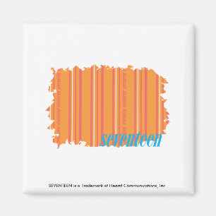 Dunne strepen Sinaasappel 2 Magneet