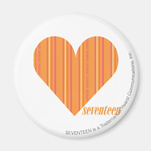 Dunne strepen Sinaasappel 3 Magneet