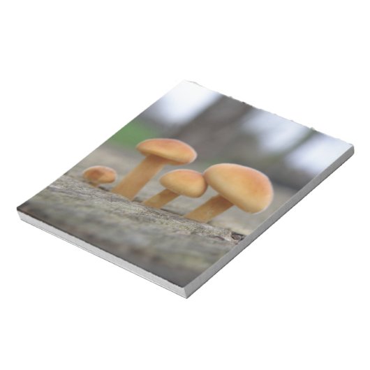 Dunne Toadstools-laptop Notitieblok (Gedraaid)