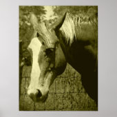 Dunnit in Sepia Tint Poster (Voorkant)