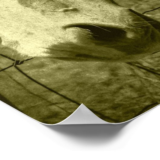 Dunnit in Sepia Tint Poster (Hoek)