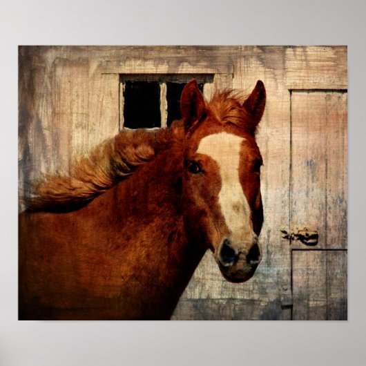 Dunnit Poster (Voorkant)