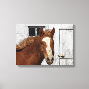 Dunnit Says Hallo Canvas Afdruk
