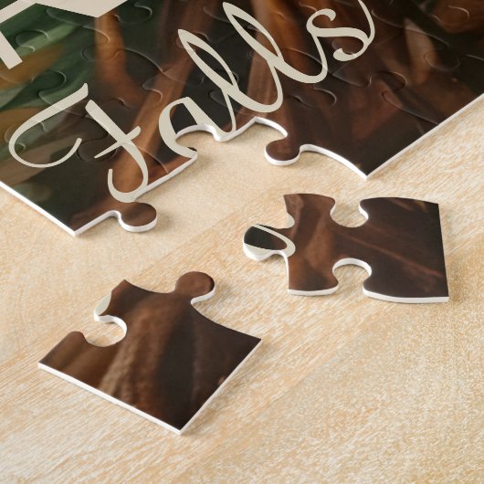 Dunns River Falls Jamaïque Jigsaw Puzzle pour adul (Côté)