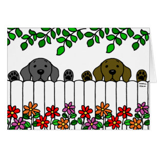 Duo du Labrador qui vous regarde