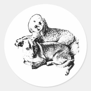 “Duo Lay” Sticker – Stille Momenten Tussen Vriende