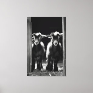 Duo van Monochromatische Baby Goats staan samen Canvas Afdruk