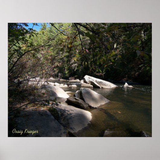 Dupont River in NC Poster (Voorkant)
