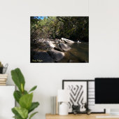 Dupont River in NC Poster (Thuiskantoor)