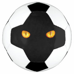 Dur regard de Golden Bombay Cat Eyes