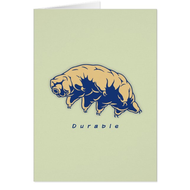 Durable - Tardigrade (Devant)