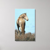 Durango Canvas Print (Voorkant)
