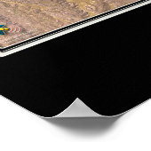 Durango Colorado van ruimtesatellietkaart Poster (Hoek)