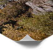 Durango en Silverton Railroad, nr. 481, Beer Cree Poster (Hoek)