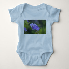 Duranta erecta romper