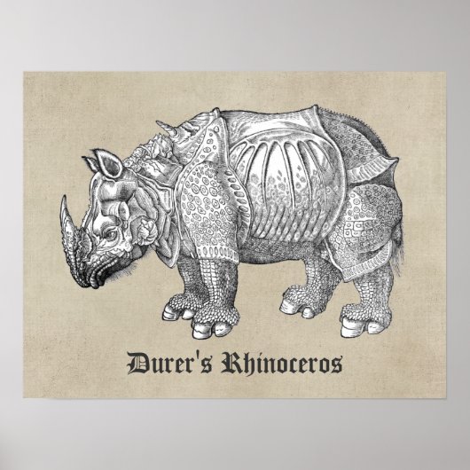 Durer Rhino Poster (Voorkant)
