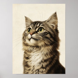 Dürer's Tabby Schatten 3 Poster
