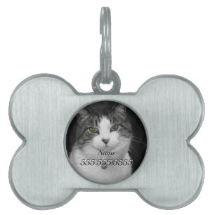 Durf in mijn groene ogen te kijken Pet Tag Huisdieren Naamplaatje